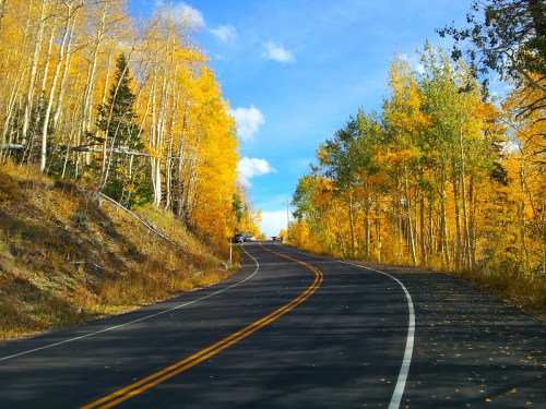 A winding road surrounded by vibrant autumn trees with golden leaves under a clear blue sky.