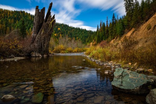 A serene river flows through a forested landscape, featuring autumn colors and a large, weathered tree stump.