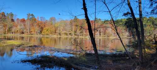 A serene lake surrounded by trees with autumn foliage reflecting on the water under a clear blue sky.