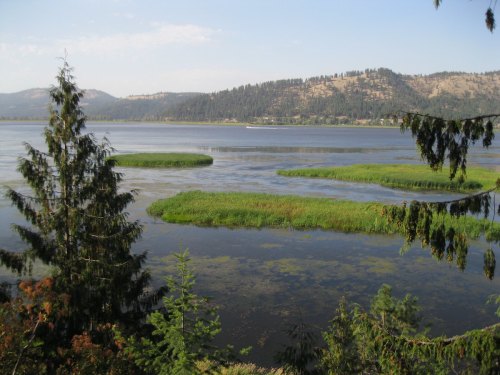 A serene lake scene with green islands, surrounded by trees and distant hills under a clear blue sky.