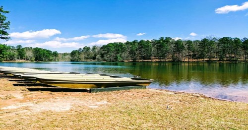 A serene lake surrounded by trees, with boats lined up on the shore under a clear blue sky.