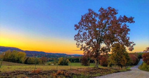 A scenic landscape at sunset, featuring a large tree, rolling hills, and a clear sky transitioning from orange to blue.