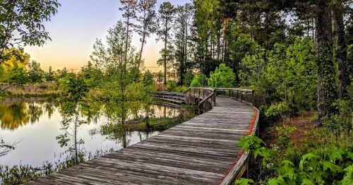 A wooden boardwalk winds through lush greenery beside a calm pond, with trees and a sunset in the background.