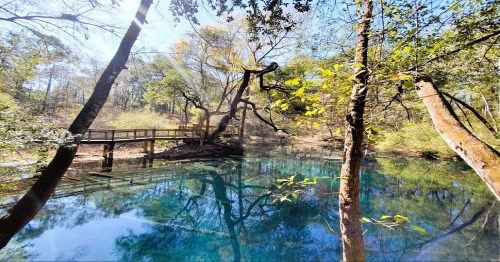 A serene forest scene featuring a clear blue pond and a wooden bridge surrounded by trees and sunlight.
