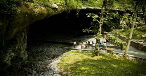 A group of people walking along a path leading into a dark cave surrounded by lush greenery and rocky terrain.