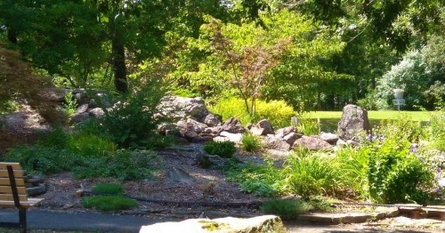 A serene garden scene featuring rocks, lush greenery, and a pathway, with sunlight filtering through the trees.