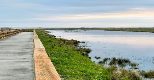 A serene pathway alongside a calm river, surrounded by lush greenery and a cloudy sky.