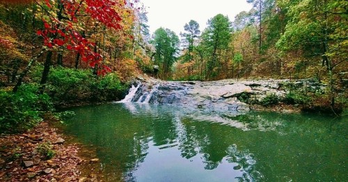 A serene waterfall cascades into a calm pool, surrounded by vibrant autumn foliage and tall green trees.