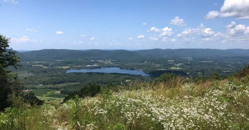 A scenic view of rolling hills and a lake, surrounded by greenery and dotted with white wildflowers under a blue sky.