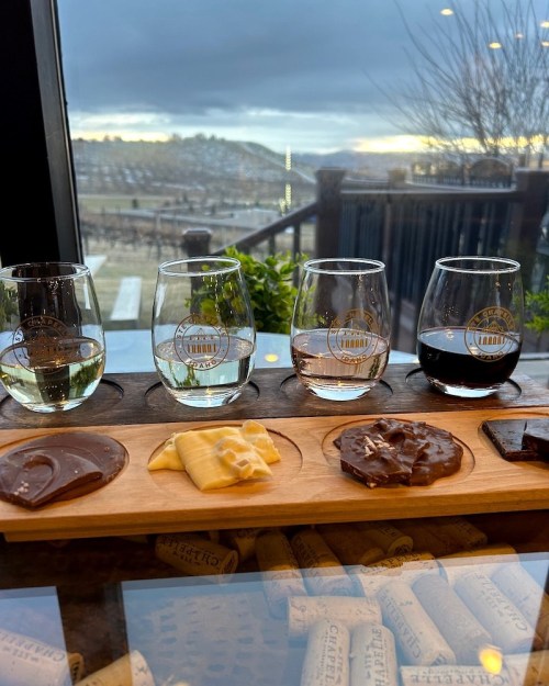 A tasting flight of wines paired with various chocolates, set against a scenic outdoor view.