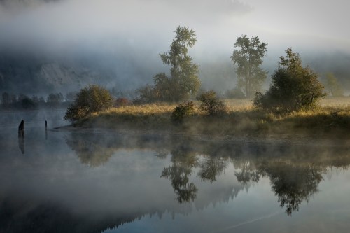 A misty landscape with trees reflected in calm water, creating a serene and tranquil atmosphere.