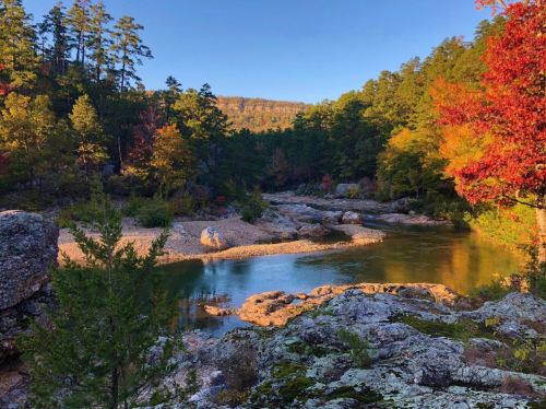 A serene river flows through a forested landscape with vibrant autumn foliage and rocky banks under a clear blue sky.