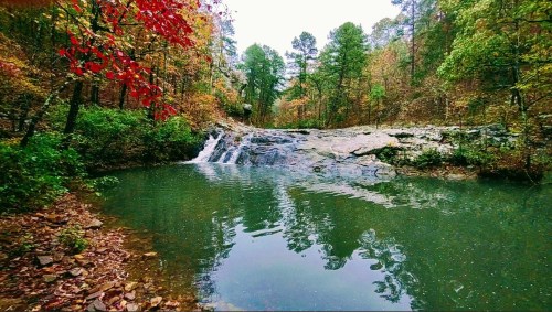 A serene waterfall cascades into a calm pool, surrounded by vibrant autumn foliage and lush green trees.