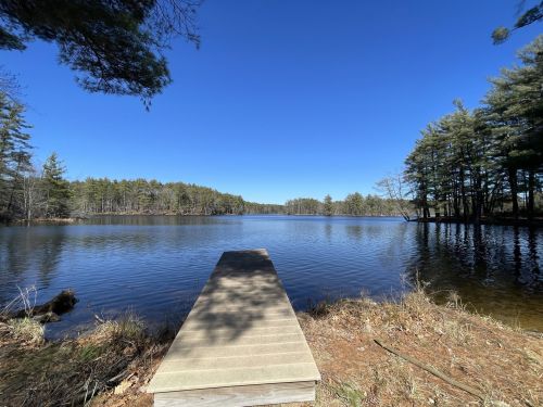 A serene lake view with a wooden dock extending into calm waters, surrounded by trees under a clear blue sky.