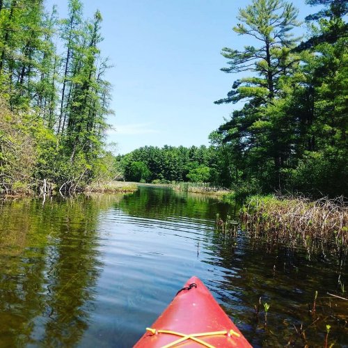 A kayak on a calm river surrounded by lush green trees and clear blue skies.