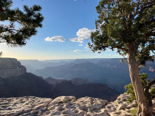 A scenic view of the Grand Canyon at sunset, with a tree in the foreground and layered mountains in the background.