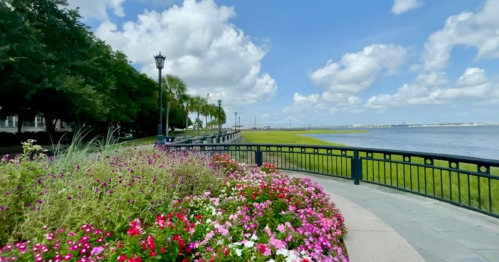 A scenic waterfront view featuring colorful flowers, a pathway, and a bright blue sky with fluffy clouds.