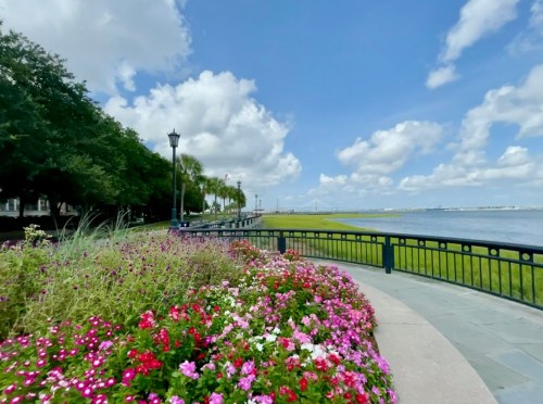 A scenic waterfront path lined with colorful flowers, under a blue sky with fluffy clouds and green grass.