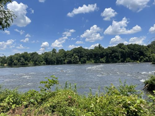 A serene river scene with lush green trees and a bright blue sky dotted with fluffy white clouds.