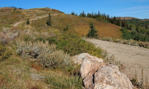 A rocky foreground leads to a winding trail through green hills and trees under a clear blue sky.