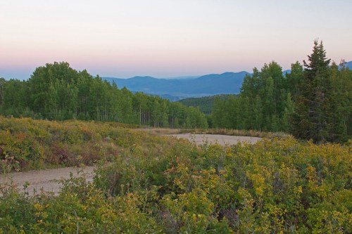 A serene landscape featuring a dirt road winding through lush greenery and mountains under a pastel sky at dusk.