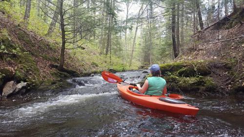 A person in a green shirt paddles an orange kayak through a narrow, wooded stream with gentle rapids.
