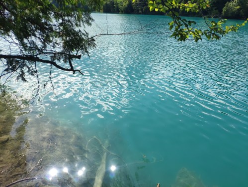 A serene lake with turquoise water, surrounded by trees and reflecting sunlight on the surface.