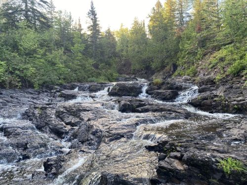 A serene stream flows over rocky terrain, surrounded by lush green trees and sunlight filtering through the foliage.
