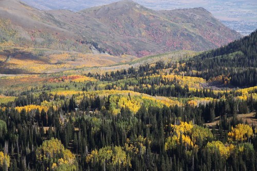 A scenic view of mountains covered in vibrant autumn foliage, featuring a mix of green and golden trees.