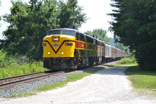 A vintage yellow and green train travels along a track surrounded by trees and greenery on a sunny day.