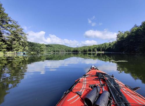 A red kayak on calm water, reflecting trees and blue sky, surrounded by lush greenery and distant hills.