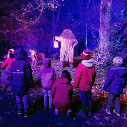 A group of children watches a figure with a lantern in a colorful, illuminated forest setting.