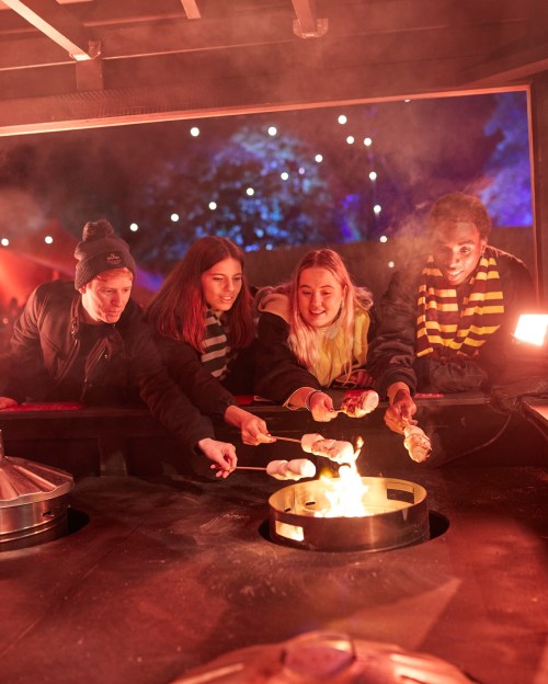 A group of four friends roasting marshmallows over a fire in a cozy outdoor setting, surrounded by warm lights.