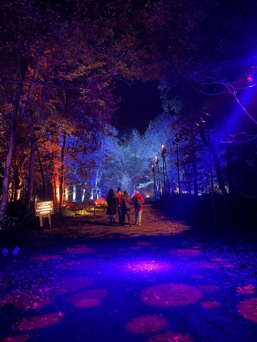 A group of people walking down a dimly lit path surrounded by colorful lights and trees at night.