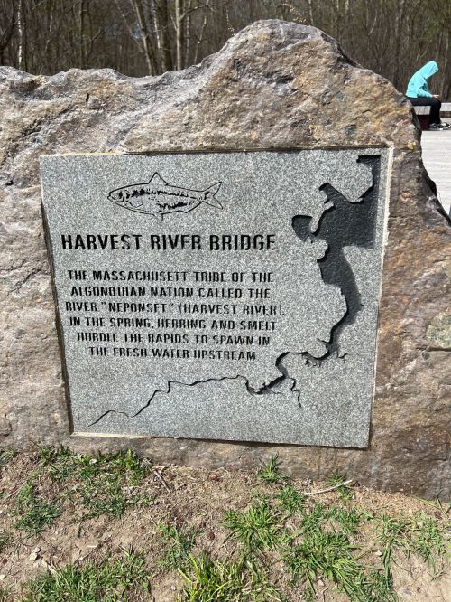 A stone plaque titled "Harvest River Bridge" detailing the significance of the river to the Massachusetts tribe.
