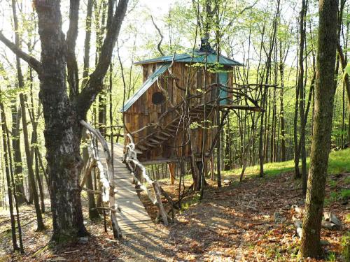 A whimsical treehouse nestled among trees, connected by a wooden walkway, surrounded by lush greenery.