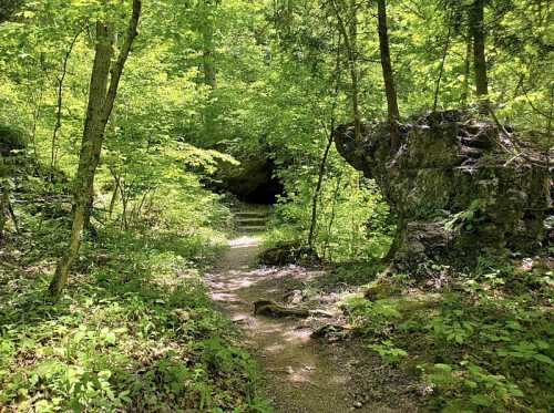 A serene forest path leads to a dark cave entrance, surrounded by lush green foliage and rocky formations.