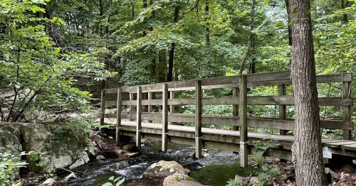 A wooden bridge spans a small stream, surrounded by lush green trees and rocky terrain in a forested area.