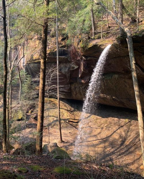 A serene waterfall cascading over a rocky cliff, surrounded by lush green trees and a peaceful forest setting.