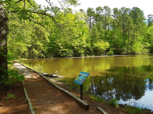 A serene path beside a calm pond, surrounded by lush green trees and a signpost near the water's edge.