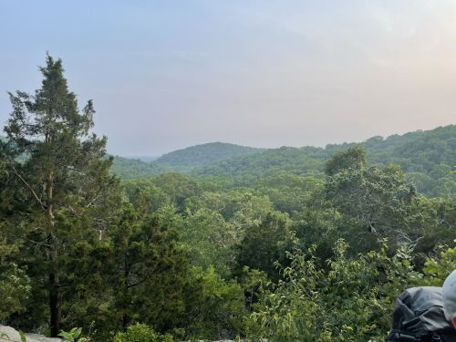 A scenic view of lush green hills and trees under a hazy sky, showcasing a peaceful natural landscape.