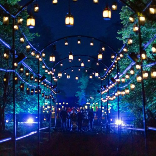 A dimly lit pathway adorned with glowing lanterns, leading towards a group of people in the distance.