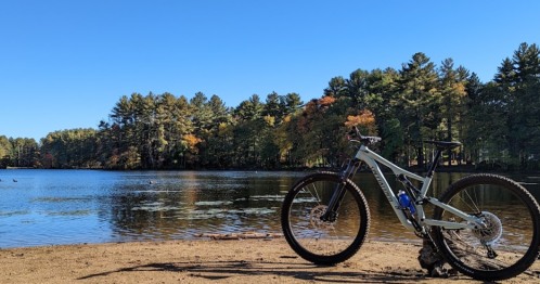 A mountain bike rests on the shore of a calm lake, surrounded by trees and a clear blue sky.