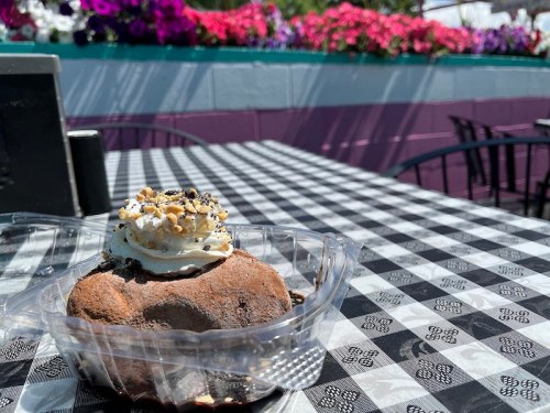 A chocolate dessert topped with whipped cream and nuts sits on a checkered tablecloth, with colorful flowers in the background.
