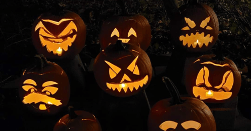A group of jack-o-lanterns lit by candles at green meadows farm in maryland during its trail of jack-o-lanterns event