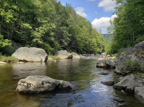 A serene river flows through a lush green forest, with large rocks lining the banks under a blue sky.