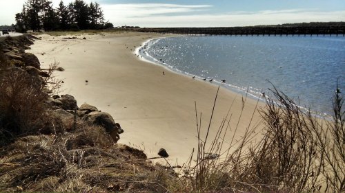 A serene beach scene with gentle waves, sandy shore, and distant trees under a clear blue sky.