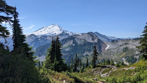A scenic view of snow-capped mountains and lush green trees under a clear blue sky.