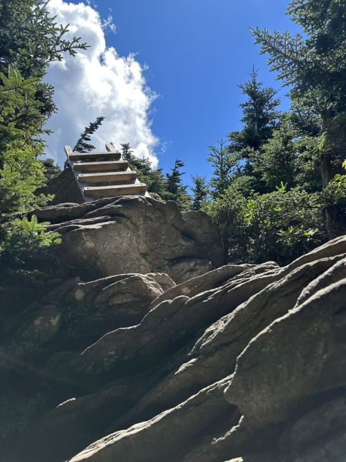 A wooden staircase leads up through rocky terrain and dense greenery under a bright blue sky with clouds.