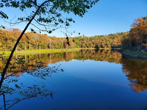 A serene lake surrounded by autumn foliage, reflecting the clear blue sky and colorful trees.